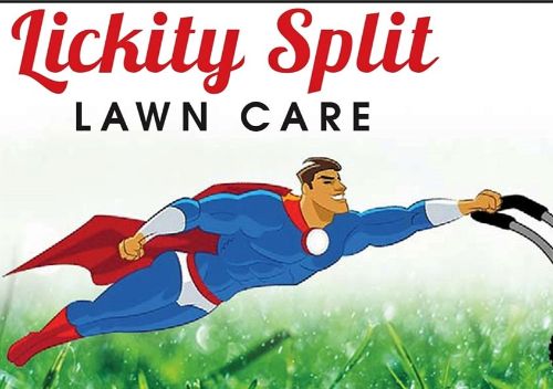 Jacksonville Fl Lawn Care Service